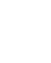 Figura elemento